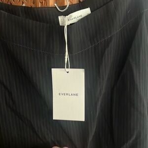EVERLANE MIDI Skirt